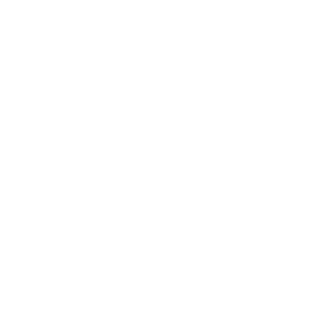 Safe Home Logo